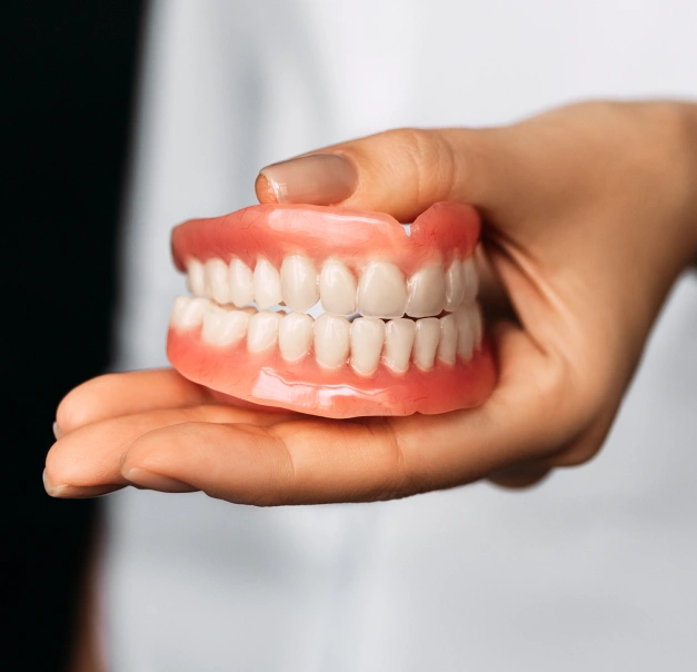 Hand holding a dental model showing upper and lower artificial teeth against white background.